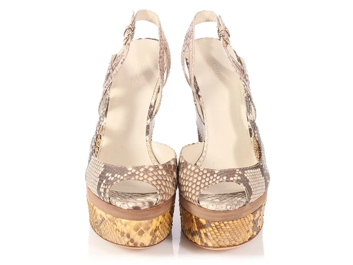 Gucci Python Kotao Wedges