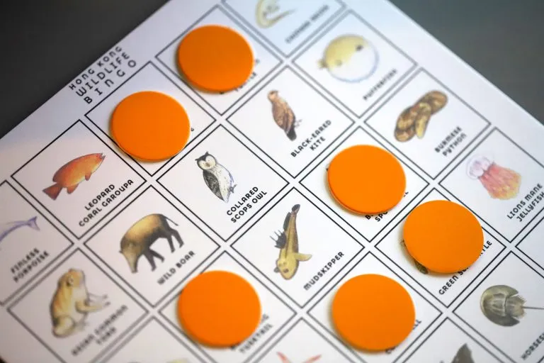 Hong Kong Wildlife Bingo Board Game