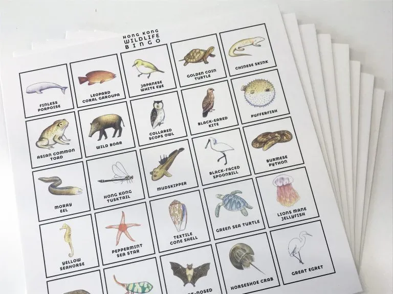 Hong Kong Wildlife Bingo Board Game